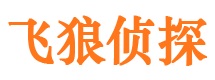 栾川出轨调查